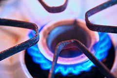 Gas Stove